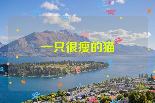 一只很瘦的猫