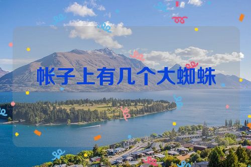 帐子上有几个大蜘蛛