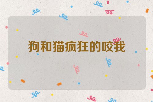 狗和猫疯狂的咬我