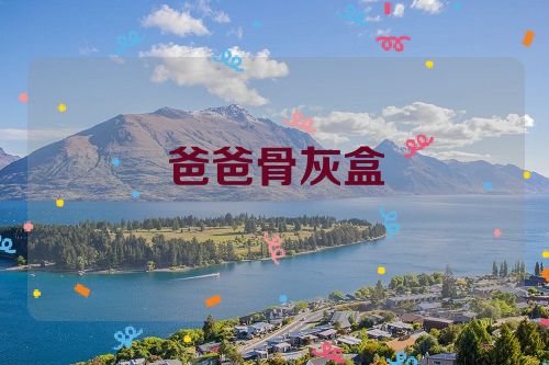 爸爸骨灰盒