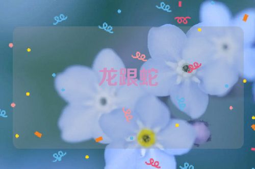 龙跟蛇