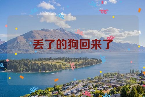丢了的狗回来了