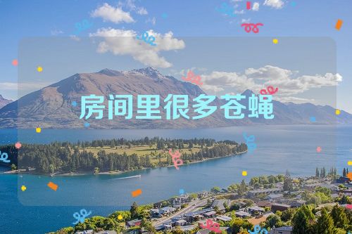 房间里很多苍蝇