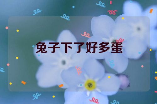 兔子下了好多蛋