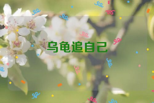 乌龟追自己