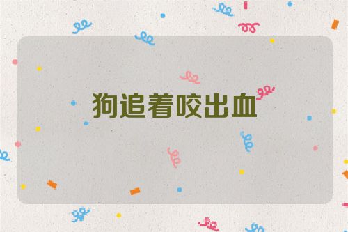 狗追着咬出血
