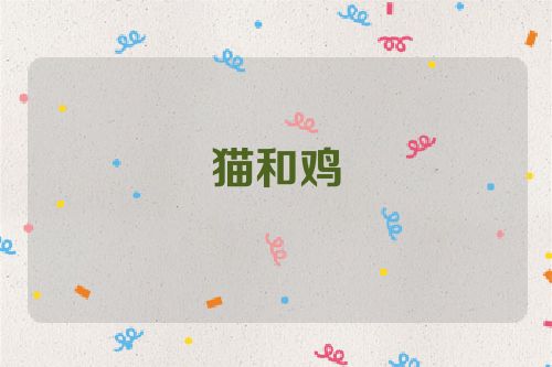 猫和鸡