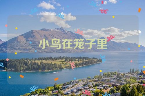 小鸟在笼子里