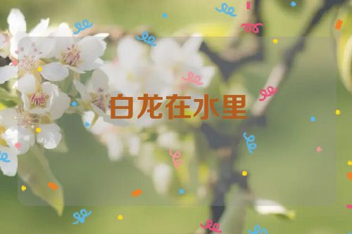白龙在水里