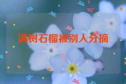 满树石榴被别人分摘