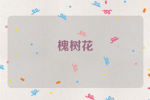 槐树花