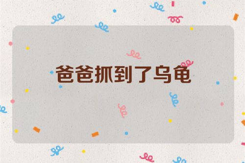 爸爸抓到了乌龟