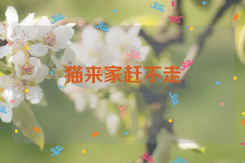 猫来家赶不走