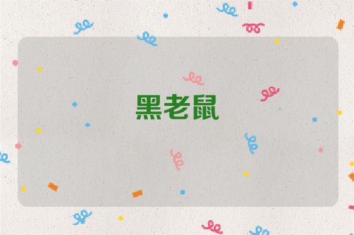 黑老鼠