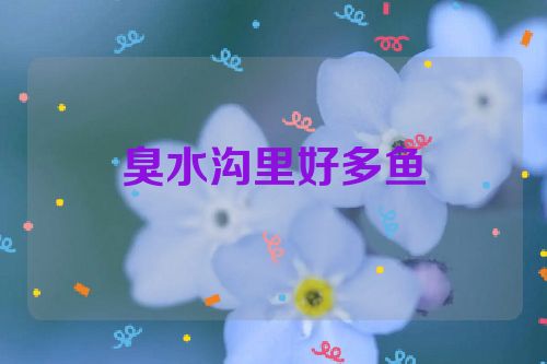 臭水沟里好多鱼