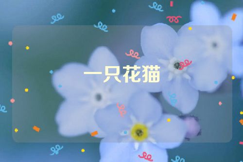 一只花猫