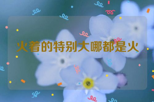 火着的特别大哪都是火