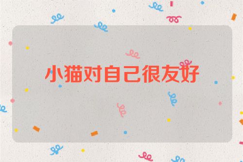 小猫对自己很友好