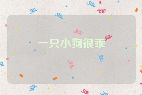 一只小狗很乖
