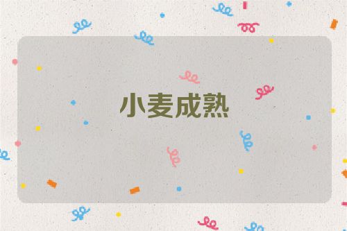 小麦成熟