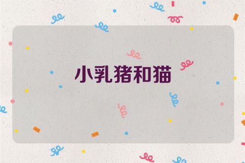 小乳猪和猫
