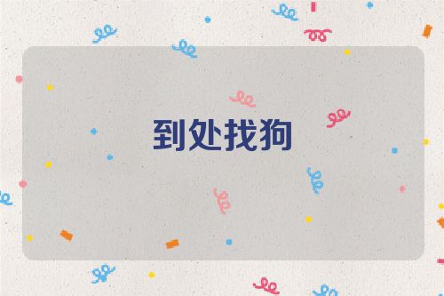 到处找狗