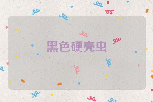 黑色硬壳虫