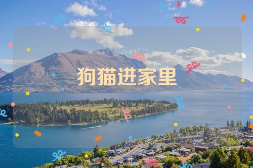 狗猫进家里