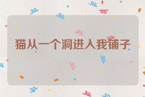 猫从一个洞进入我铺子