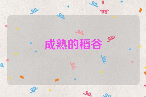 成熟的稻谷
