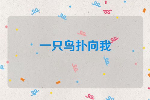 一只鸟扑向我