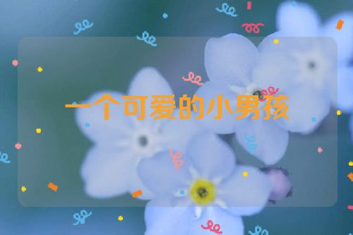 一个可爱的小男孩