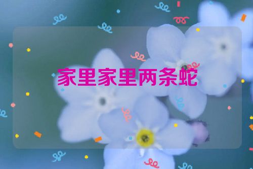 家里家里两条蛇