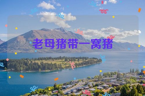 老母猪带一窝猪