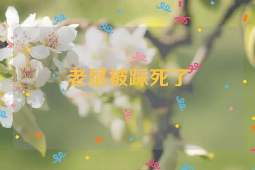 老鼠被踩死了