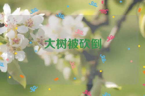 大树被砍倒