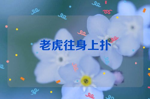 老虎往身上扑