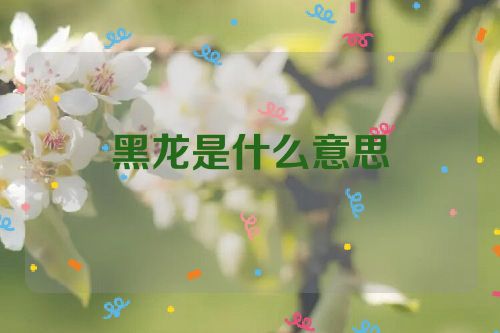 黑龙是什么意思