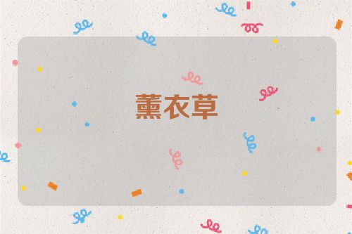 薰衣草