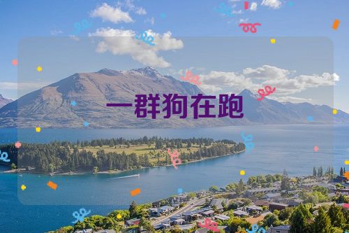 一群狗在跑