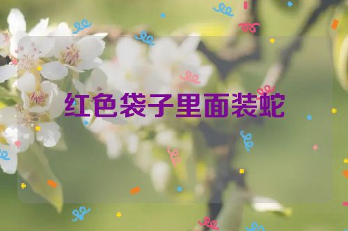 红色袋子里面装蛇