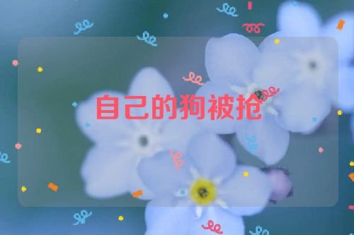 自己的狗被抢