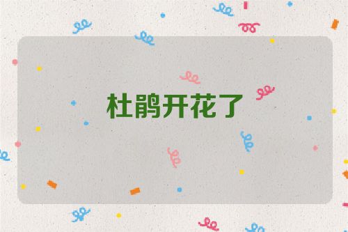 杜鹃开花了
