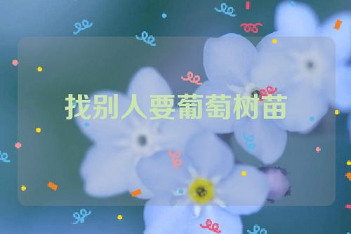 找别人要葡萄树苗