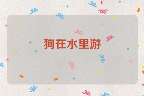 狗在水里游