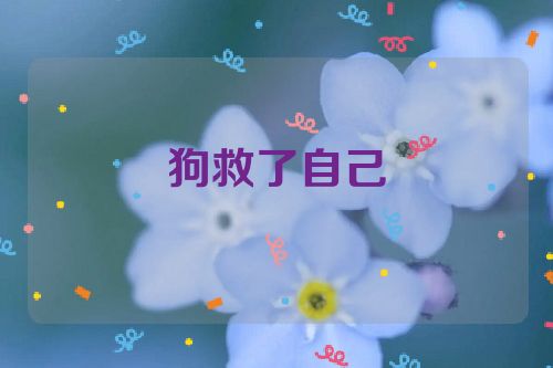 狗救了自己