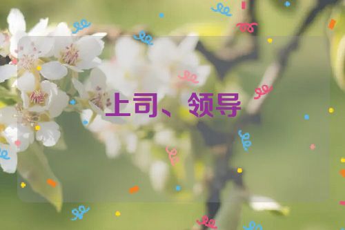 上司、领导