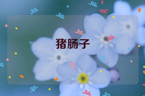 猪肠子