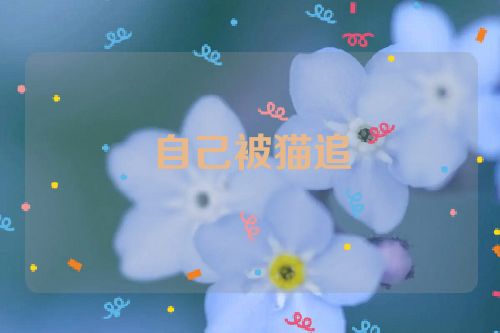 自己被猫追