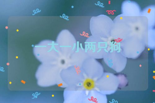 一大一小两只狗